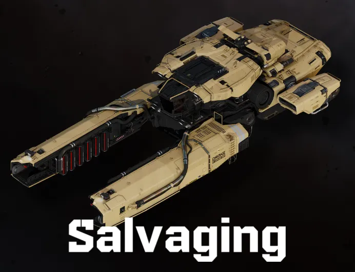 Salvaging guide